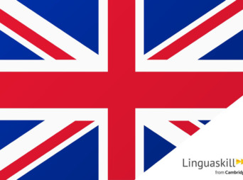 Formation Anglais Conversation et Aisance Oral  Niveau Débutant + Linguaskill (50 heures)